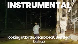 INSTRUMENTAL BEAT  bodega  looking at birds deadxbeat Ben Beal [upl. by Breana]