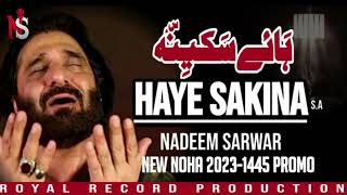 Nadeem Sarwar  Haye Sakinah  Nadeem Sarwar New Noha 20241446 [upl. by Serolod]