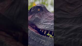 The Tyrannosaurus Rex notices you… [upl. by Eecyaj]