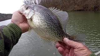 Crappie Fishing Secrets  Finding That Sweet Spot [upl. by Yeoj]