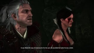 How Philippa Eilhart went blind  The Witcher 2 [upl. by Funch]