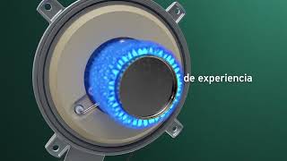 Calderas de condensación a gas Vaillant Ecotec Plus Smart [upl. by Zoilla]