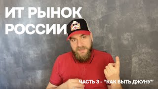 Рынок ИТ в РФ Часть 3  quotКак быть джунуquot [upl. by Marguerita]