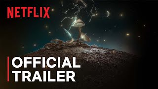 How to Change Your Mind  Official Trailer  Netflix [upl. by Foscalina]