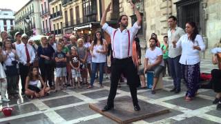 Flamenco Man dance [upl. by Hgielram]