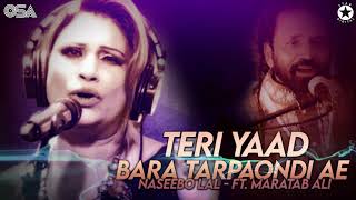 Teri Yaad Bara Tarpaondi Ae  Naseebo Lal amp Maratab Ali  Superhit Song  official HD video [upl. by Ameerak]