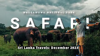 Wasgamuwa National Park Elephant Safari Sri Lanka Travels Dec 2023 [upl. by Loren247]