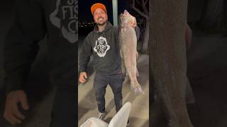 137 lb trout checked in during the night session at Santa Ana River Lakes [upl. by Barmen]