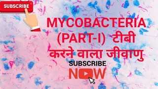 Mycobacteria ।। Mycobacterium tuberculosis Partl in hindi [upl. by Nawotna]