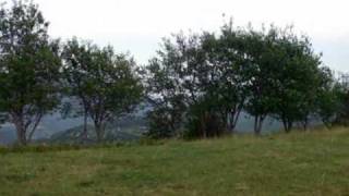 Passo del Rastrello  Monumento ai Caduti delle Brigate partigiane per la Resistenza [upl. by Lib]