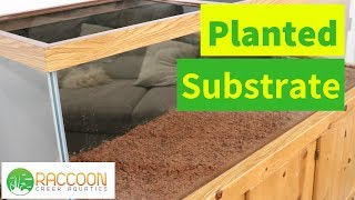 Planted Tank Setup  How to Setup Planted Aquarium for Beginners Without CO2  Wonder Aqua Garden [upl. by Cameron818]