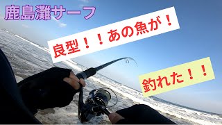 良型！サーフヒラメを狙っていたら あの魚が釣れた！！ [upl. by Jonathan]