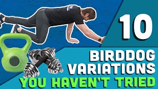 10 Bird Dog Variations You Might Not Have Tried Build Core Stability [upl. by Caterina]