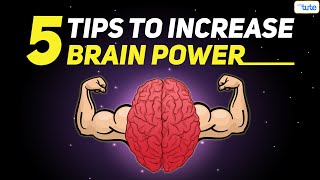 How To Increase Your Brain Power  5 Effective Tips To Improve Memory  Letstute [upl. by Nathanoj]