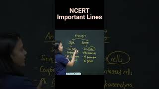 Compare Angiosperms amp Gymnosperms  Revision Biology NEET  NCERT important lines for NEET  ncert [upl. by Noell812]