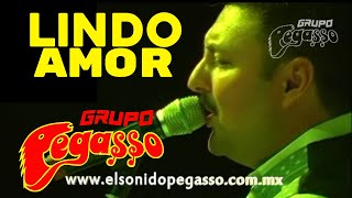 2011  LINDO AMOR  Grupo Pegasso  canta Ramiro Saldaña  En Vivo [upl. by Nodroj]