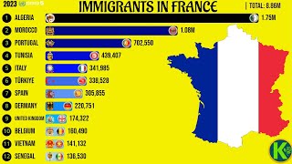 Immigrants in France [upl. by Eylrac577]