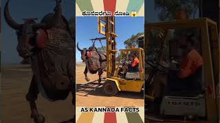 Metal Artist Amazing Fact Video  kannada facts karnataka amazing youtubeshorts trendingshorts [upl. by Akemehs]