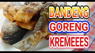 Resep Bandeng Goreng Kremes Yang Enak Tanpa Telur [upl. by Johnathon96]