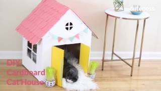 How To Build A Cat House  Cutenesscom [upl. by Guglielma]