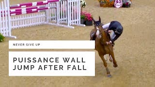 Puissance wall jump after fall Dominic Webb at HOYS 2018 [upl. by Isabeau877]