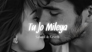 Tu Jo Mileya  slowed amp reverb  Juss  New punjabi song 2024 [upl. by Kenzie]