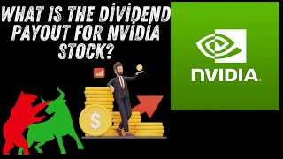 What Is the Dividend Payout for Nvidia Stock [upl. by Dirfliw]