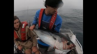 VICTORIAN BARREL TUNAS OFF BARWON HEADS [upl. by Atnima848]