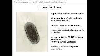 BACTERIES amp ANTIBIORESISTANCES 🦠💊  PARTIE 1 [upl. by Leeke]