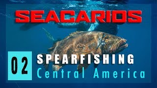 Spearfishing Panama  Seacarios [upl. by Courtney]