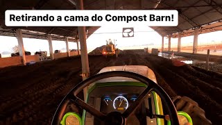 CAMA NOVA PARA AS VACAS E ADUBO ORGÂNICO PARA AS LAVOURAS🐄🌾 [upl. by Pevzner]