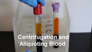 Centrifugation and Aliquoting of Blood Serum and Plasma [upl. by Switzer44]