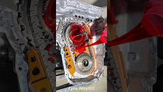 Just Check The Engine Oil Color entertainment engine ytshort [upl. by Panchito]