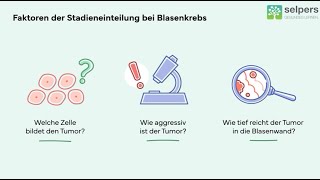 Welche Stadien gibt es bei Blasenkrebs Experte informiert [upl. by Lana]