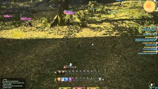 Final Fantasy XIV A Realm Reborn  E3 2013 Battle Gameplay [upl. by Cassandry]