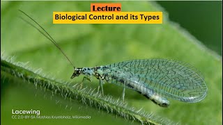 biological control  types of biological control  pest management  parasitoids  microorganisms [upl. by Cohberg]