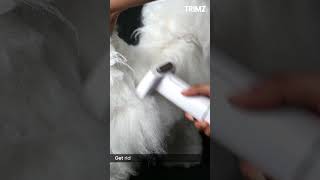 Unboxing the Trimz 5in1 Grooming Kit Makes Grooming Easier [upl. by Trini752]