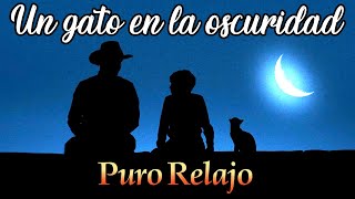 Puro Relajo  quotEl gato que está triste y azulquot 🐈 quotUn gato en la oscuridadquot 🌙 🐈 [upl. by Anoiek]