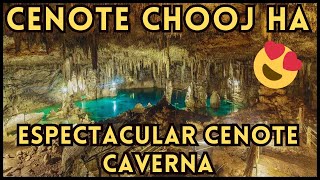 🔴Así son los CENOTES tipo CAVERNA 🇲🇽 cenote yucatán mexico rivieramaya [upl. by Etnohc]