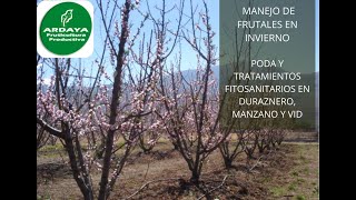 PODA y Tratamientos FITOSANITARIOS de FRUTALES [upl. by Jedd]