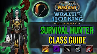 WOTLK CLASSIC  SURVIVAL HUNTER GUIDE  Talents Rotation amp More [upl. by Eilarol306]