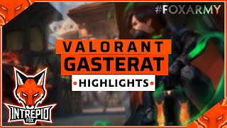 Gasterat Highlights  Valorant  Intrepid Fox Gaming [upl. by Gridley]