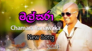 Malsara  මල්සරා  Chamara Ranawaka  New Reggae Song 2023 [upl. by Asseram342]