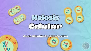 Meiosis en 5 minutos [upl. by Alicirp788]