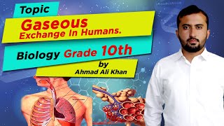 Biology Topic Gaseous Exchange In Humans Grade 10th by Ahmad Ali Khan [upl. by Luigi]