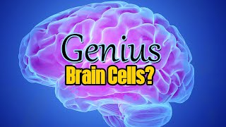 🕴 Genius Cells in the Brain 🤔 [upl. by Nimaj]