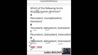 diphyodont heterodont and thecodont characteristics of human dentition [upl. by Rovit]