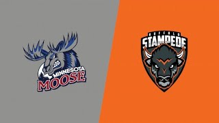 Minnesota Moose vs Buffalo Stampede  Game Highlights  111623 [upl. by Enisamoht]