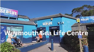 SEA LIFE Centre Weymouth PART 2 [upl. by Occir548]