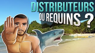 DISTRIBUTEURS OU REQUINS [upl. by Ayatal896]